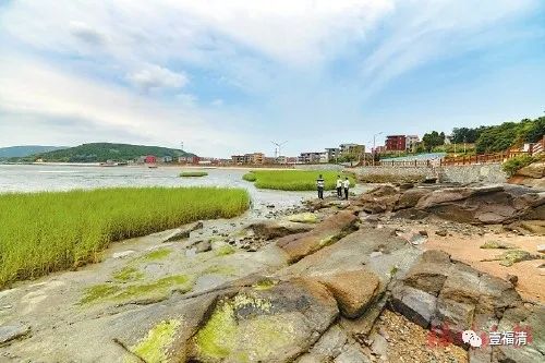 党建引领添活力 滨海渔村展新姿