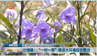 微信图片_20190910144038.jpg